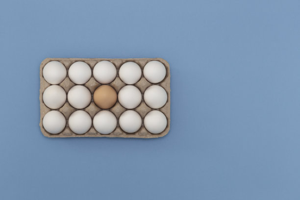白色的新鲜鸡蛋和一个棕色的鸡蛋在盒子里，蓝色背景的特写-库存照片图片下载
