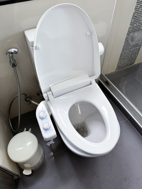 公共厕所隔间特写图片，带有坐浴盆功能的白色马桶，凸起的马桶盖，挂在墙上的厕卷架，挂在墙上的手淋浴坐浴盆头附件，墙支架和软管，WC坐浴盆冲洗淋浴喷头，卫生桶，瓷砖地板图片下载