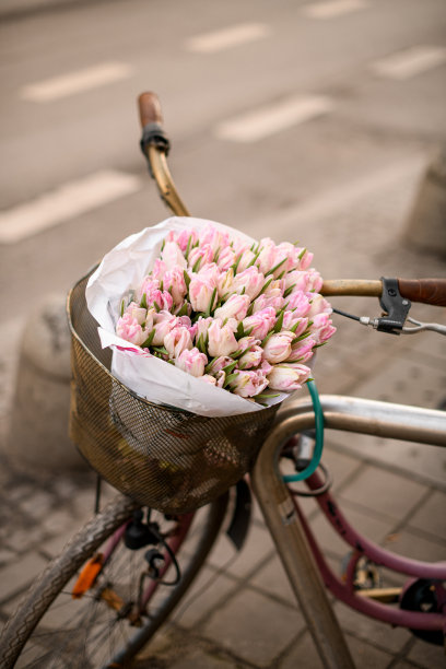 在普罗旺斯风格的城市街道上，自行车上放着柔软的粉色郁金香图片下载