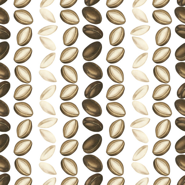 摩洛哥坚果树种子的无缝图案。带叶子的棕色摩洛哥坚果。白色背景水彩插图。皮肤和头发护理，食品和美容中的维生素。用于包装、纺织品的模板图片下载