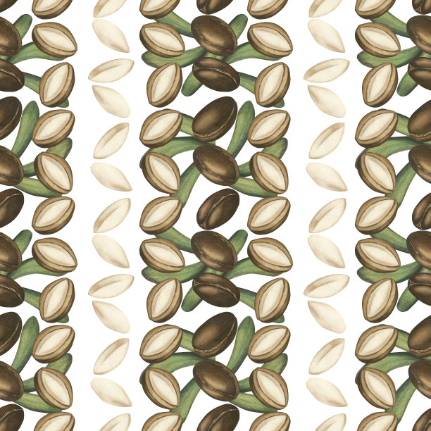摩洛哥坚果树种子的无缝图案。带叶子的棕色摩洛哥坚果。白色背景水彩插图。皮肤和头发护理，食品和美容中的维生素。用于包装、纺织品的模板图片下载