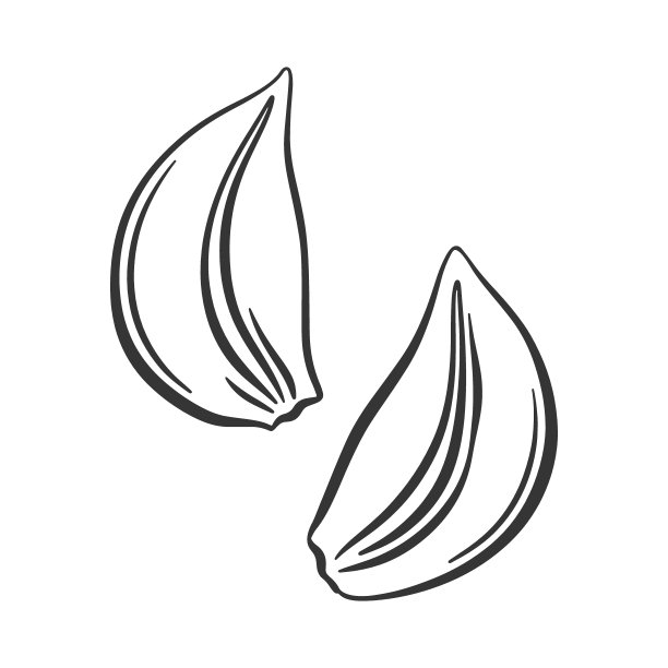 矢量轮廓大蒜瓣切成两半。蒜瓣切片。大蒜图标。烹调用的辛辣原料。图片下载