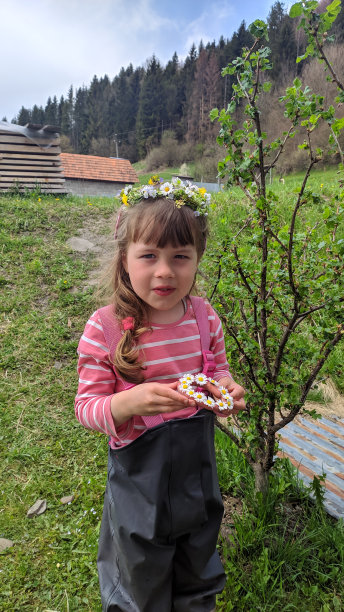 在森林的背景下，一个戴着雏菊花环的女孩，山里的春天。照片。图片下载