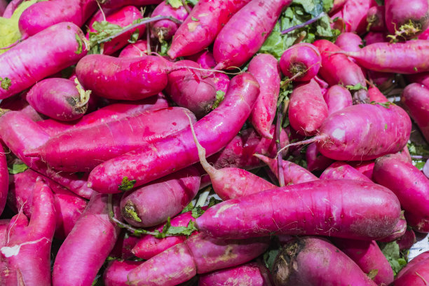 紫色的萝卜图片下载