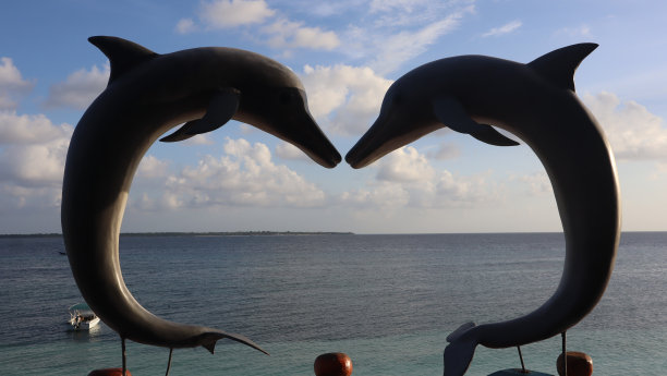 海豚的雕像图片下载