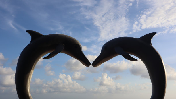 海豚的雕像图片下载