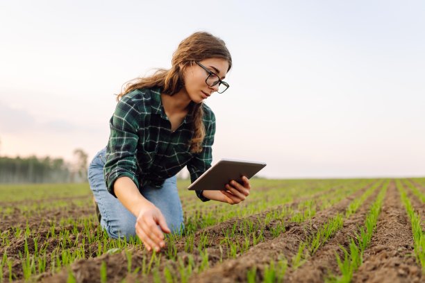 一名农妇用数码平板电脑检查手中的土壤质量。图片下载