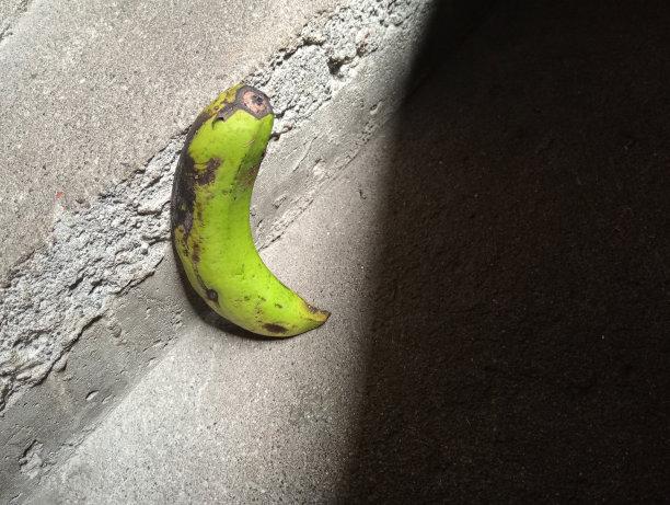 在昏暗的房间里，一根绿香蕉的散焦照片图片下载