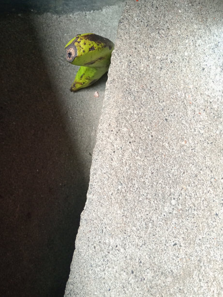 在昏暗的房间里，一根绿香蕉的散焦照片图片下载