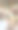 笼中的鬣蜥。生活在中美洲、南美洲和加勒比群岛热带地区的一种蜥蜴，属于鬣蜥科。图片下载