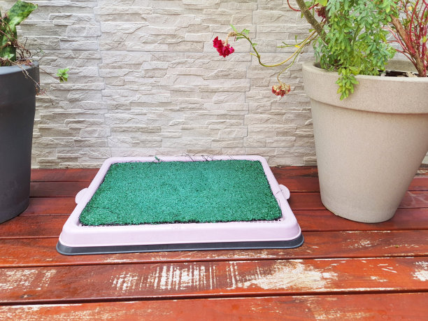 狗尿垫。图片下载