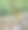 森林里的小溪，照片作为背景图片下载