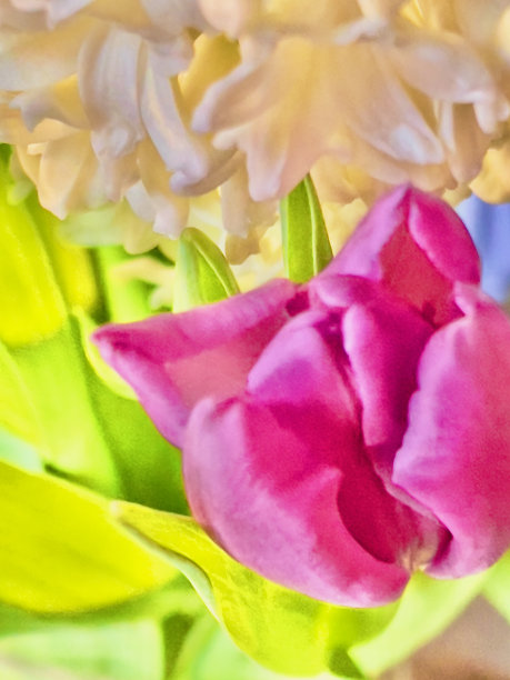 抽象春花背景图片下载