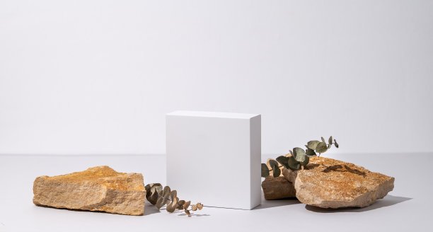白色的空盒子纹理石与桉树在浅色背景与阴影。图片下载