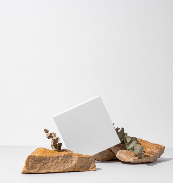 白色的空盒子纹理石与桉树在浅色背景与阴影。图片下载