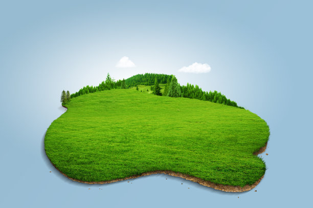 三维森林景观插图。一片长满绿草的土地。图片下载