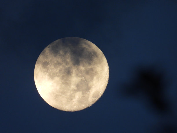 这张照片是用专业相机从地球上拍摄的月亮在云层中与森林相衬的照片图片下载