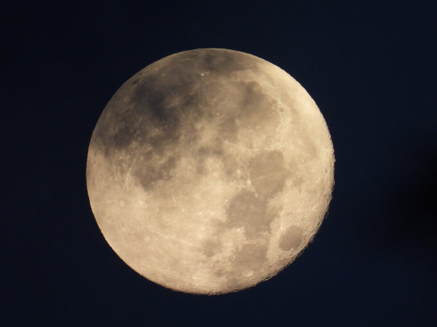 这张照片是用专业相机从地球上拍摄的月亮在云层中与森林相衬的照片图片下载