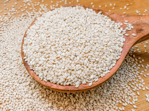 白芝麻粒白till油籽食品susuditill配料bennesseeds gingellyseeds grains desesame, semillas sementes desesamo Sesamsamen semi disesamo，库存照片图片下载