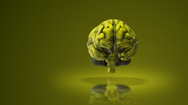 人类大脑的医学动画图片下载