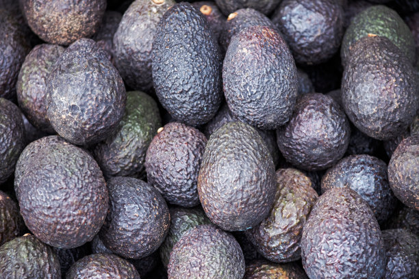 一组新鲜的有机鳄梨果实从农场收获后，准备在市场上出售图片下载