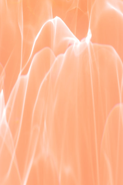 波浪线条的光作为抽象的背景桃色，自然的闪光从灯光，趋势色年2024桃色模糊单色照片与光学效果，模糊纹理作为节日背景图片下载