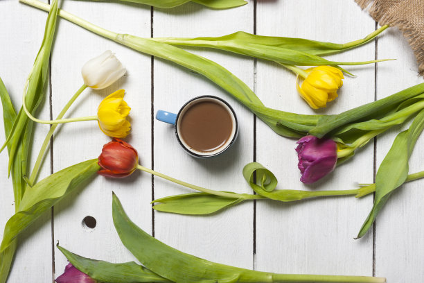 白色复古桌子上的蓝色咖啡杯的俯视图照片，周围有五颜六色的新鲜郁金香和鲜花图片下载