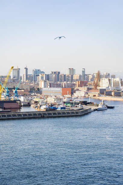 这张照片拍摄于意大利那不勒斯，展示了城市中心、港口和城市的景观图片下载