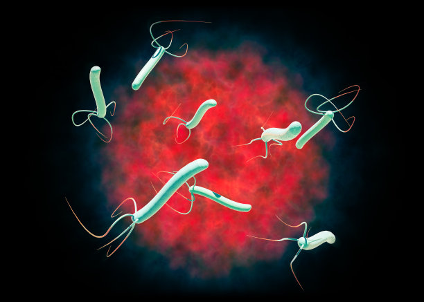 幽门螺杆菌是一种革兰氏阴性、鞭毛状螺旋状细菌。胃粘膜图片下载