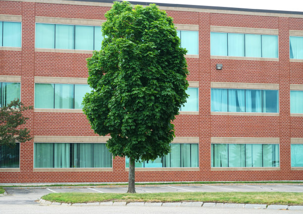 公司办公楼外景图片下载