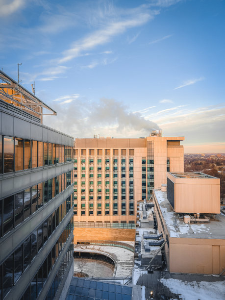 美国密苏里州圣路易斯市天际线鸟瞰图图片下载