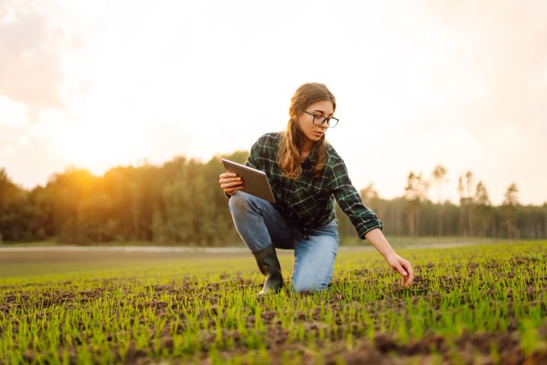 一名农妇用数码平板电脑检查手中的土壤质量。图片下载