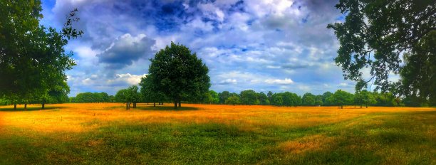 广角风景公园照片图片下载