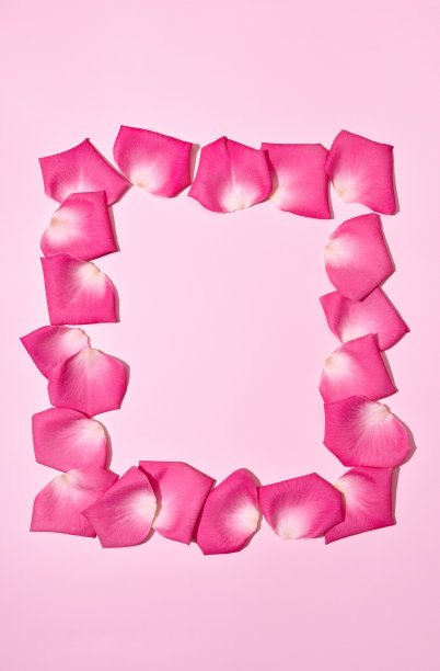 粉色玫瑰花瓣背景的情人节横幅图片下载