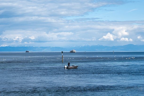 垂钓者在船上欣赏湖上的天鹅，轮船和高山全景的背景。康斯坦茨，康斯坦茨湖，巴登-符腾堡州，德国，欧洲。图片下载