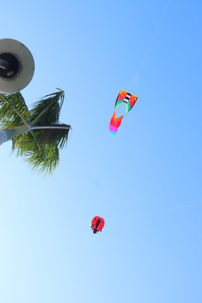 在阳光明媚的夏日，越南湄公河三角洲，五颜六色的风筝在蔚蓝的天空中飞翔。快乐的童年时光。图片下载