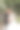 的婚礼。爱与新人在花园举行婚礼。庆祝仪式和承诺。保存日期。信任。新郎拥抱新娘。温柔的吻。一对热恋中的情侣。婚礼照片图片下载