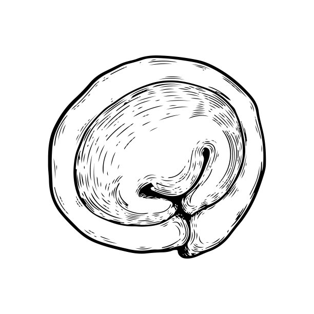 手绘饺子矢量插图。面饼，面团和肉制品。俄罗斯菜。图片下载