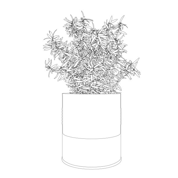 矢量室内植物在盆，轮廓图纸上的白色背景。图片下载