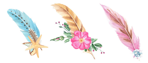 水彩羽毛组成与狗玫瑰花，水晶或海贝壳和海星孤立的白色背景。手绘波西米亚插画。用于卡片的请柬设计。图片下载