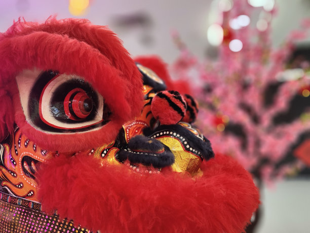 中国新年庆祝活动2024图片下载