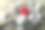 放大镜聚焦在小立方体上图片下载