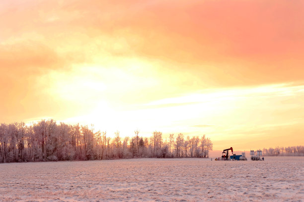 林地附近的雪地和夕阳下的南瓜。图片下载