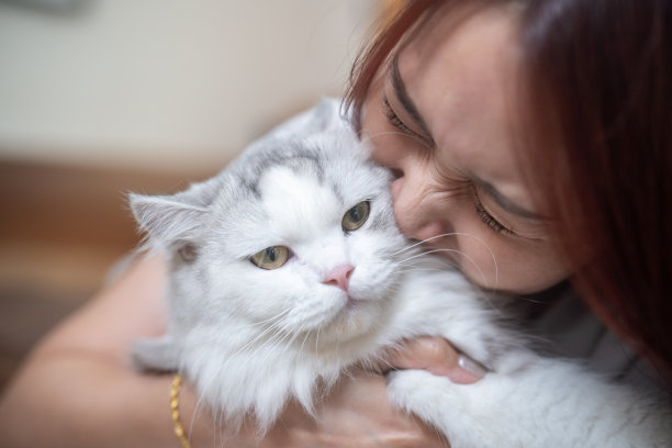 一个年轻女子抱着一只可爱的猫的照片图片下载