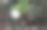 一个独特的古董风格的时钟安装在室外区域的特写照片。图片下载