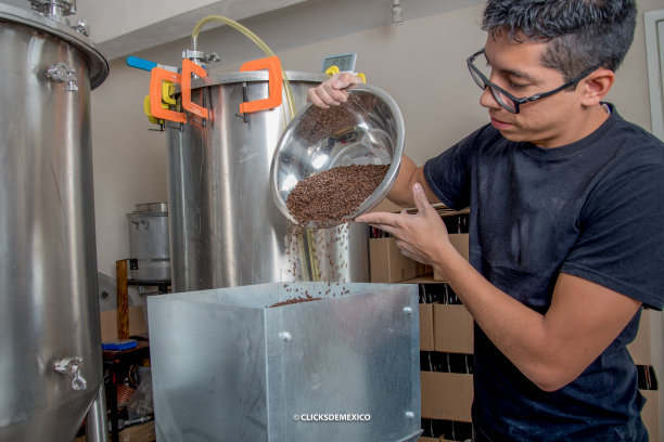 为精酿啤酒倒大麦的拉丁裔男子图片下载