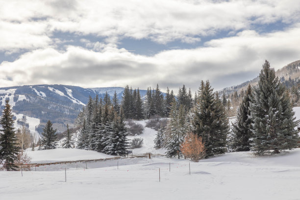 多雪的冬天，多姿多彩的科罗拉多风景。萨米特县，韦尔，弗里斯科，比弗克里克，埃文，爱德华兹，白杨树和许多滑雪!图片下载