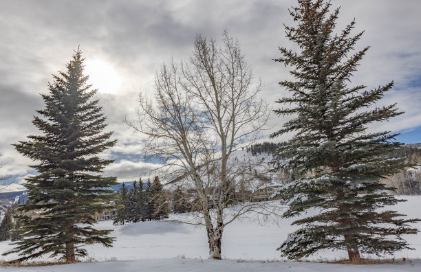 多雪的冬天，多姿多彩的科罗拉多风景。萨米特县，韦尔，弗里斯科，比弗克里克，埃文，爱德华兹，白杨树和许多滑雪!图片下载