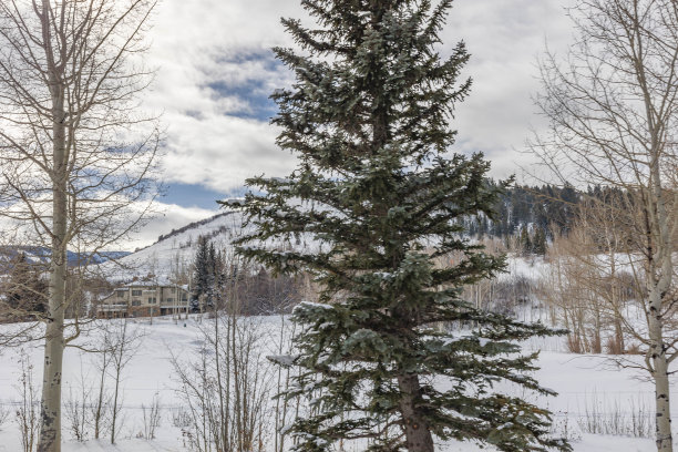 多雪的冬天，多姿多彩的科罗拉多风景。萨米特县，韦尔，弗里斯科，比弗克里克，埃文，爱德华兹，白杨树和许多滑雪!图片下载