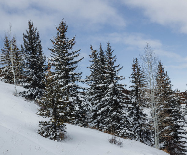 多雪的冬天，多姿多彩的科罗拉多风景。萨米特县，韦尔，弗里斯科，比弗克里克，埃文，爱德华兹，白杨树和许多滑雪!图片下载